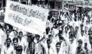 சிறப்புக் கட்டுரை