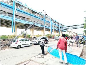 கட்டுரை, ஞாயிறு மலர்