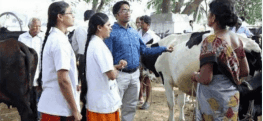 பிளஸ் 2 மதிப்பெண் அடிப்படையில் மாணவர் சேர்க்கை கால்நடை மருத்துவப் படிப்புகளுக்கு விண்ணப்பிக்கலாம் தமிழ்நாடு