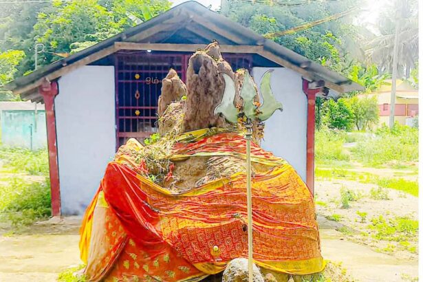 திராவிடர் கழகம்