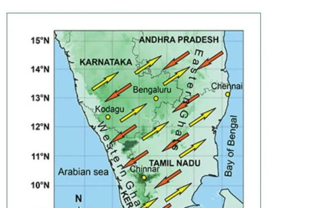 கட்டுரை, ஞாயிறு மலர்