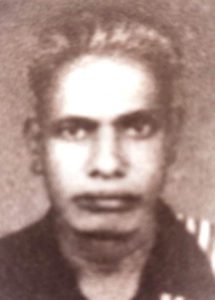 சிறப்புக் கட்டுரை