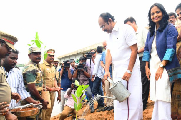 சுற்றுச்சூழல்