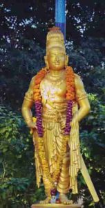 சிறப்புக் கட்டுரை