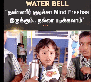 கட்டுரை, ஞாயிறு மலர்