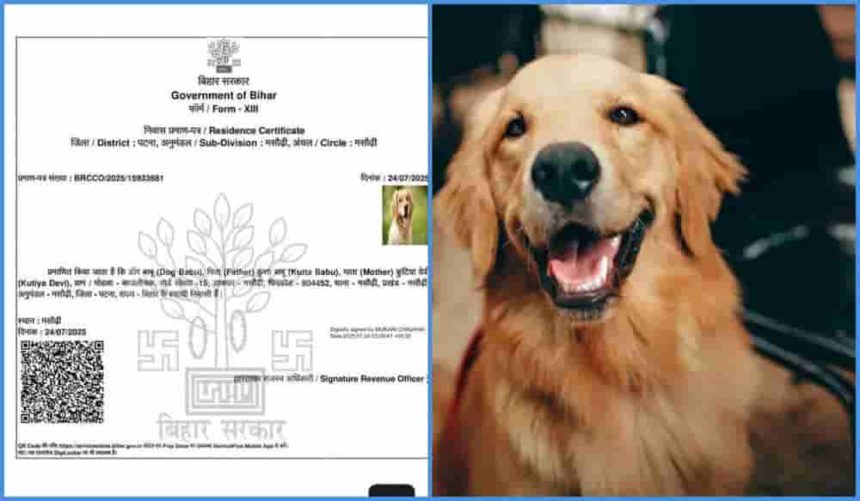 இந்தியா