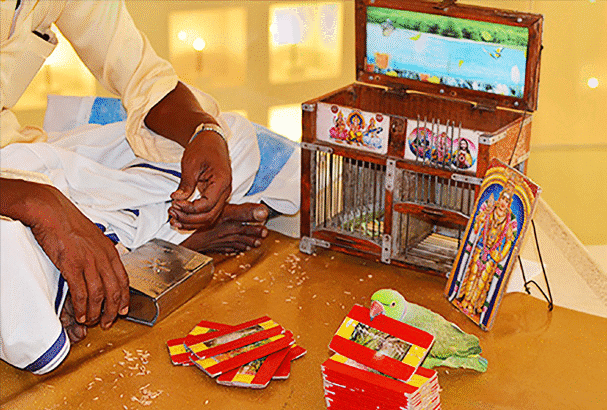 ஆசிரியர் விடையளிக்கிறார், ஞாயிறு மலர்