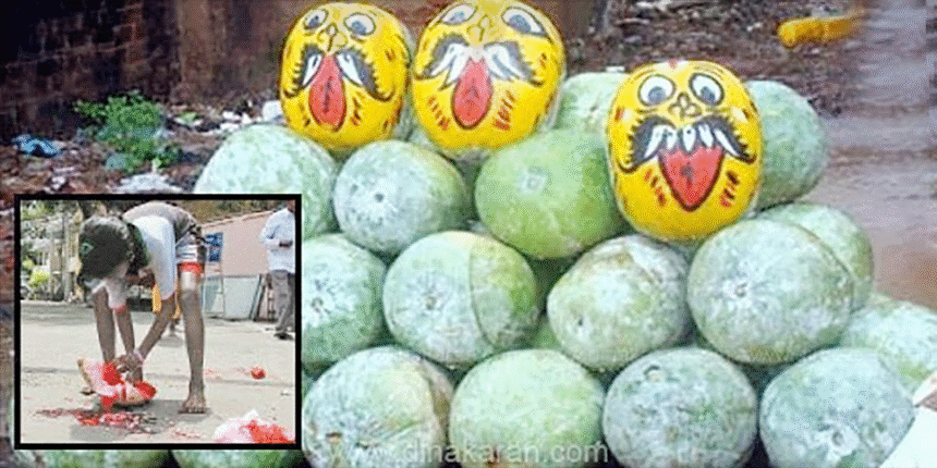 கட்டுரை, ஞாயிறு மலர்