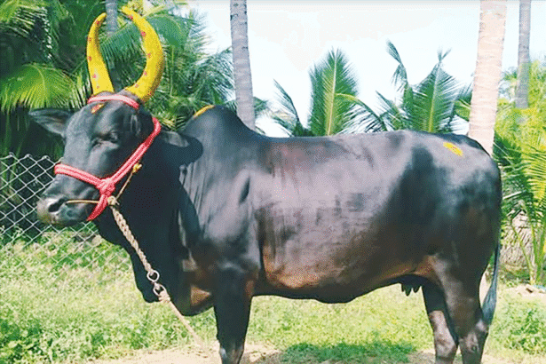ஸ்ரீ தேசிகப் பிரபந்தம்