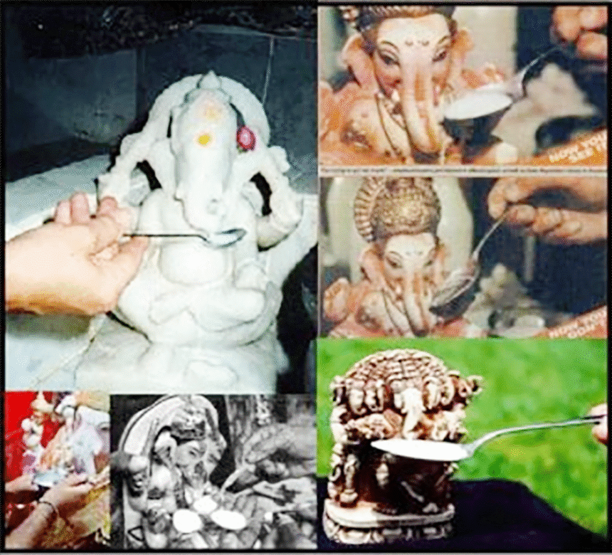 கட்டுரை, ஞாயிறு மலர்