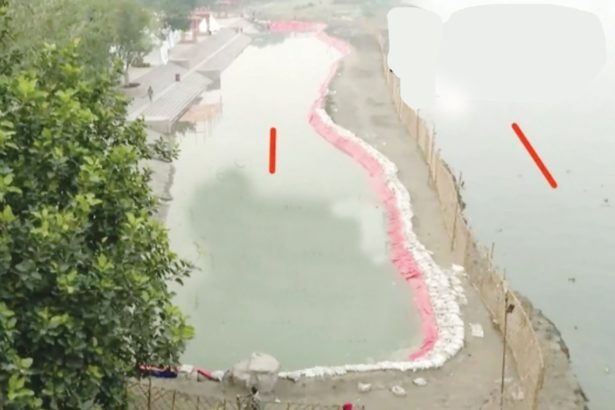 போலி யமுனை