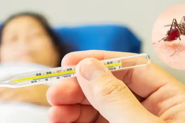 டாக்டர் ந.ஜூனியர் சுந்தரேஷ்