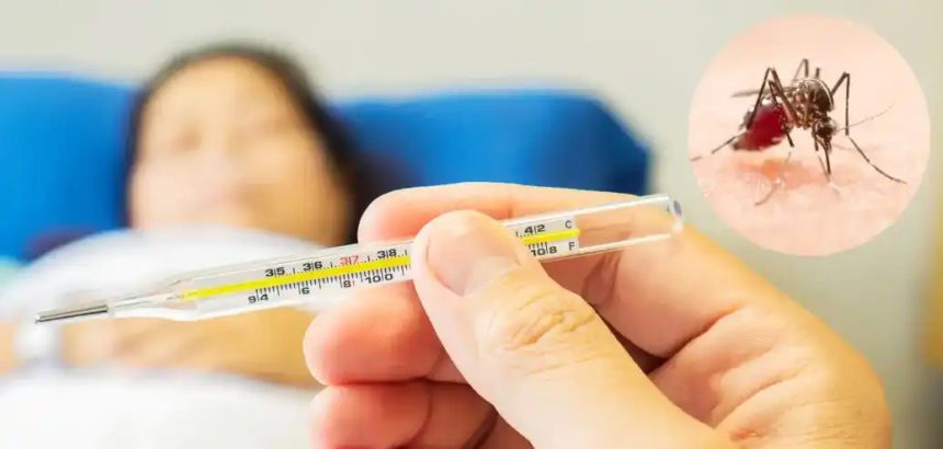 டெங்கு காய்ச்சலுக்கு மருத்துவ ஆலோசனை மருத்துவம்