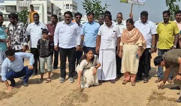 பனை விதைகள்