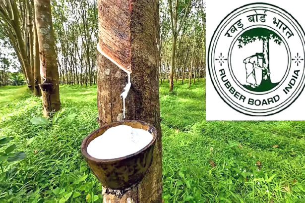 ரப்பர் வாரியத்தில் பணி