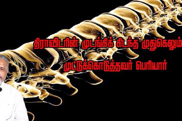 பெரியார் ஒடிடி செய்திகள்