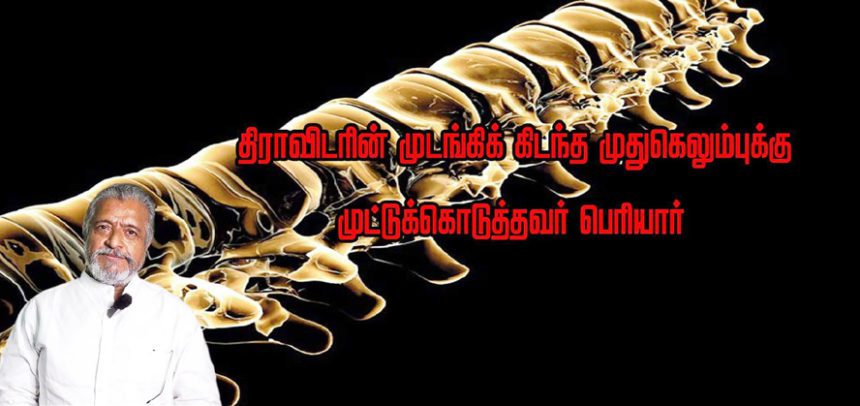 பெரியார் ஒடிடி செய்திகள்