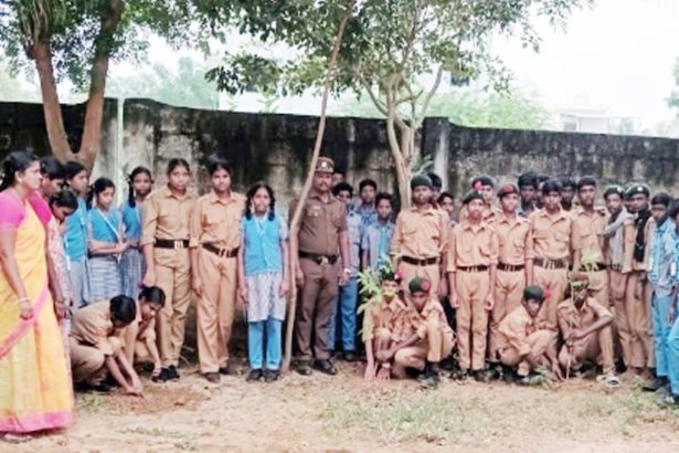 மரக்கன்றுகள் நடும் விழா