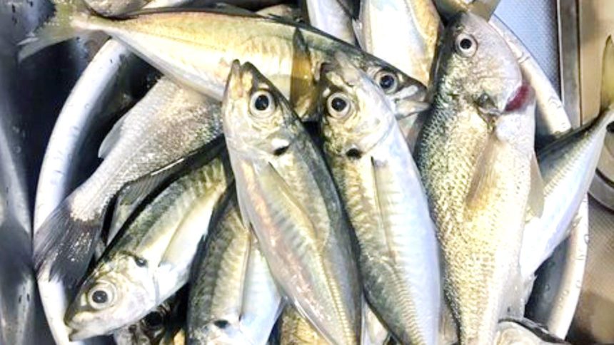 மருத்துவம்