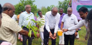 திராவிடர் கழகம்