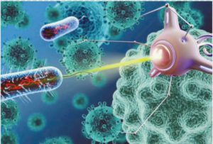 ஆசிரியர் விடையளிக்கிறார் ஆசிரியர் விடையளிக்கிறார்