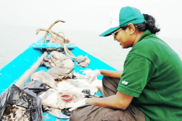 கிருபா நந்தினி