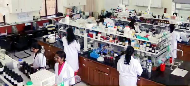 நிறுவனத்தில் வேலை