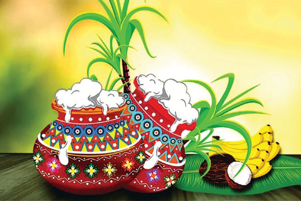 புரட்சிப் பொங்கல்!