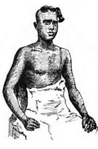 சிறப்புக் கட்டுரை, ஞாயிறு மலர்