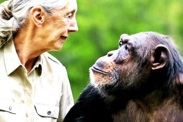 மகளிர் அரங்கம்