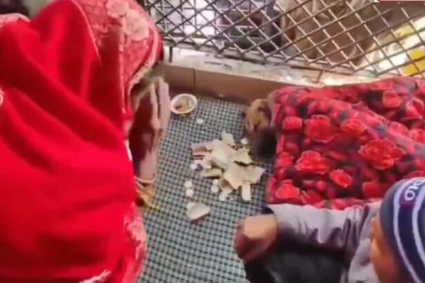 தொழில்நுட்பம்