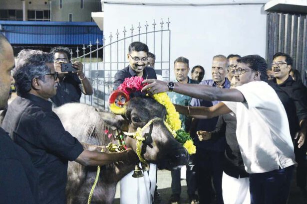 பிரின்சு என்னாரெசு பெரியார்