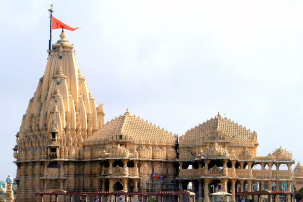 இரண்டு பிரதமர்கள்