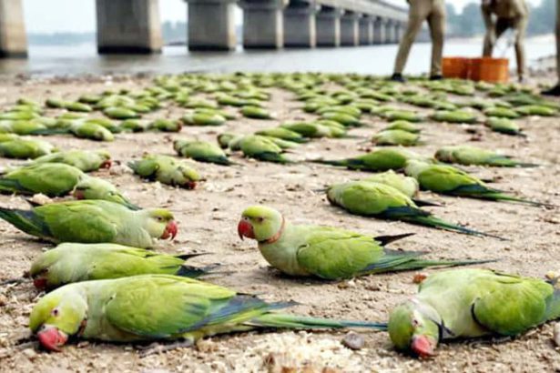 பெரியார் கேட்கும் கேள்வி!