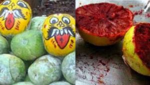 கட்டுரை