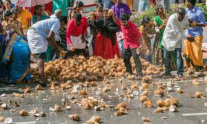 கட்டுரை