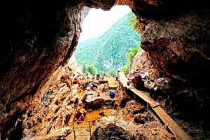 ஞாயிறு மலர்