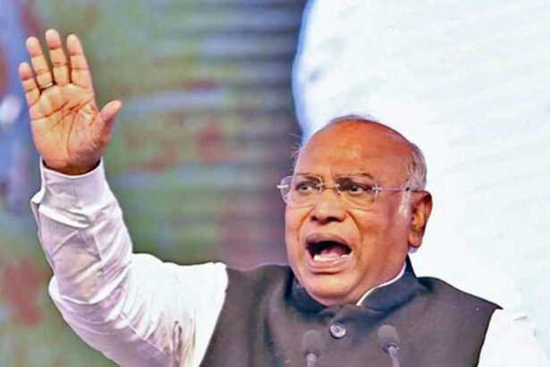 தீர்வையும் வழங்கவில்லை