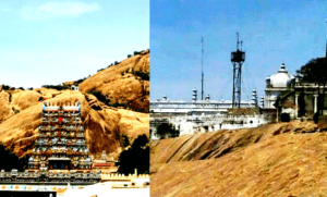 நூல் அறிமுகம் கட்டுரை, ஞாயிறு மலர்