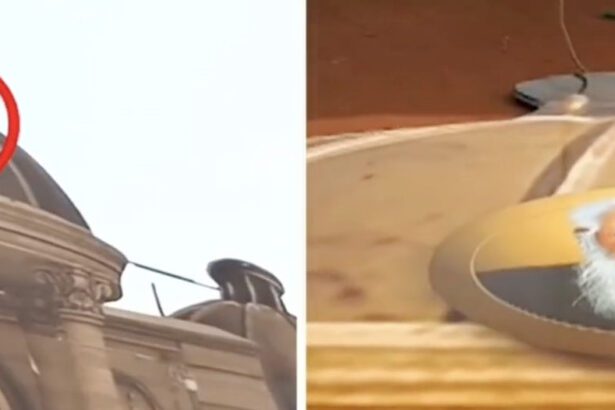 தமிழ்நாடு