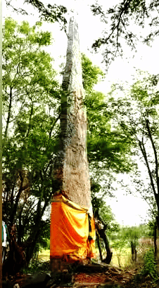 இந்தியா