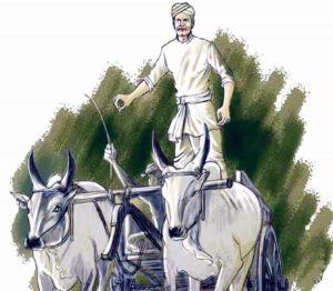 கட்டுரை, ஞாயிறு மலர்