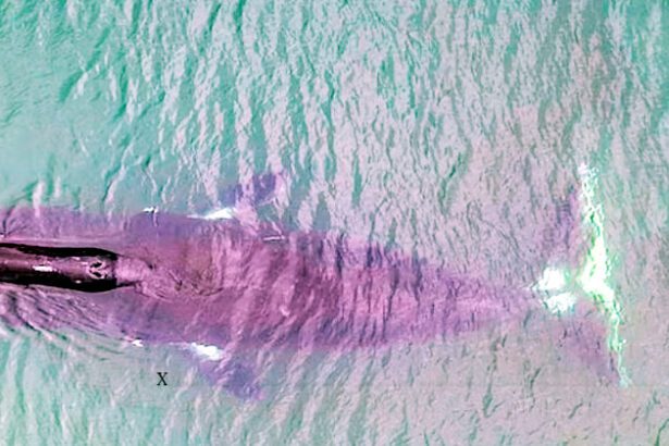 உலக செய்திகள்