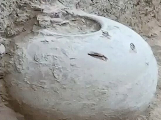 தமிழ்நாடு