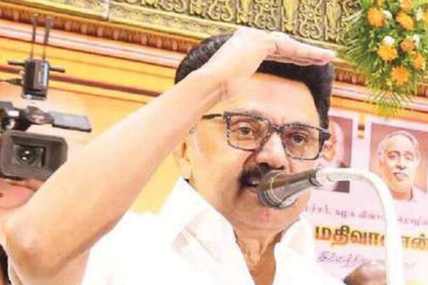 கட்டுரை, ஞாயிறு மலர்
