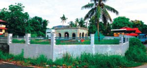 கட்டுரை, ஞாயிறு மலர்