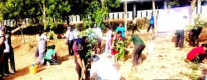 பெரியார் மணியம்மை அறிவியல் மற்றும் தொழில்நுட்ப நிறுவனத்தில் (நிகர்நிலைப்பல்கலைக்கழகம்) மரக்கன்று நடும் விழா! திராவிடர் கழகம்