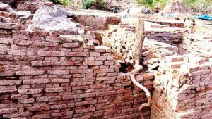 சங்கரன்கோவில் அருகே உள்ள மலையடிப்பட்டியில் அகழாய்வில், படிக்கட்டுகளுடன் கூடிய கிணறு கண்டுபிடிப்பு! தமிழ்நாடு