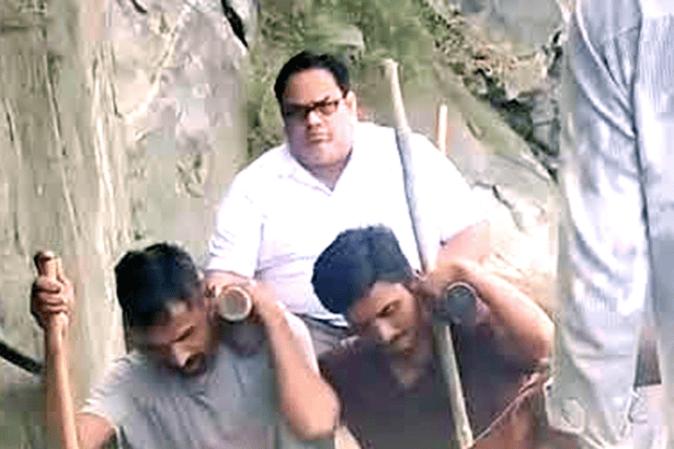 கட்டுரை, ஞாயிறு மலர்