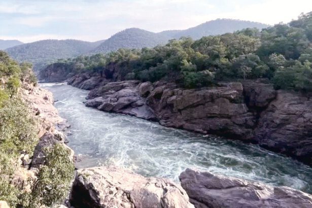 ஆணையம் உத்தரவு